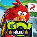 Λήψη Angry Birds Go 2024