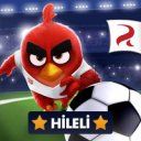 Download Angry Birds Goal 2024