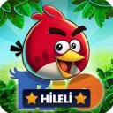 Download Angry Birds Rio 2024