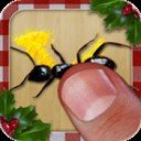 Download Ant Smasher