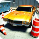 Преземи Backyard Parking 3D