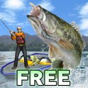 Download Bass Fishing 3D Free