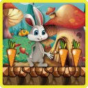 Download Bunny Run