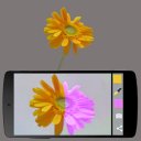 မဒေါင်းလုပ် Colorify Augmented Reality