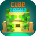 Descărcați Cube Rogue