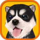 Download Dog Simulator