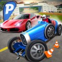 Download Driving Evolution