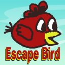 Download Escape Bird