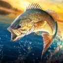 Download Fishing Hook: Bass Tournament