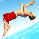 Download Flip Diving