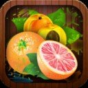 Download Fruit Crush