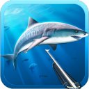 ダウンロード Hunter Underwater Spearfishing