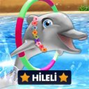 Download My Dolphin Show 2024