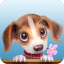 ดาวน์โหลด Pet Island