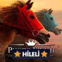 မဒေါင်းလုပ် Photo Finish Horse Racing 2024