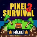 Download Pixel Survival Game 3 Free