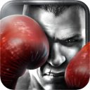 Download Real Boxing