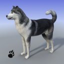 Download Snow Dog Survival Simulator