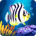 Татаж авах Splash: Underwater Sanctuary