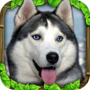 Download Stray Dog Simulator