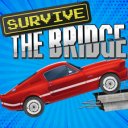 Download Survive The Bridge