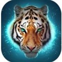 Download The Tiger