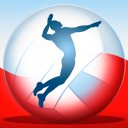 Download Volleyball Championship 2014