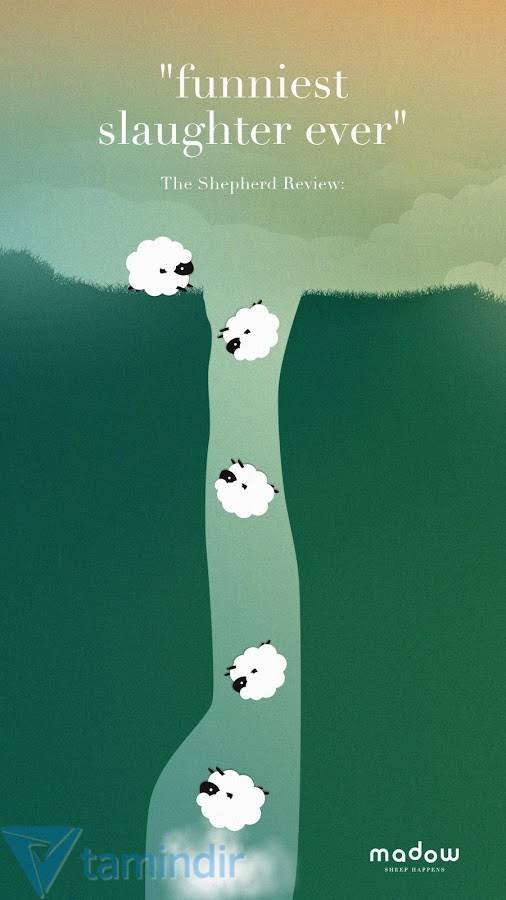 Sheep happens