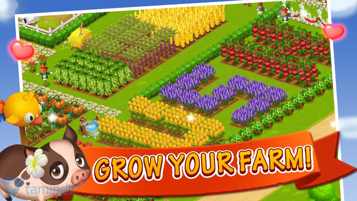 Игра happy farm. Счастливая ферма (Farm Harvest 3). Безумная ферма игра. Happy Farm Калужская. Happy Farmer Harvest Village.