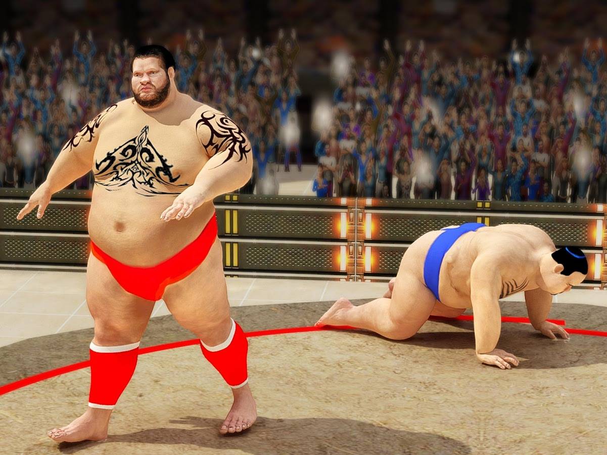 Sumo wrestling codes. Реслинг сумо.